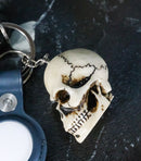 Pack of 12 Novelty Bone Colored Jointed Homosapien Cranium Skulls Keychains