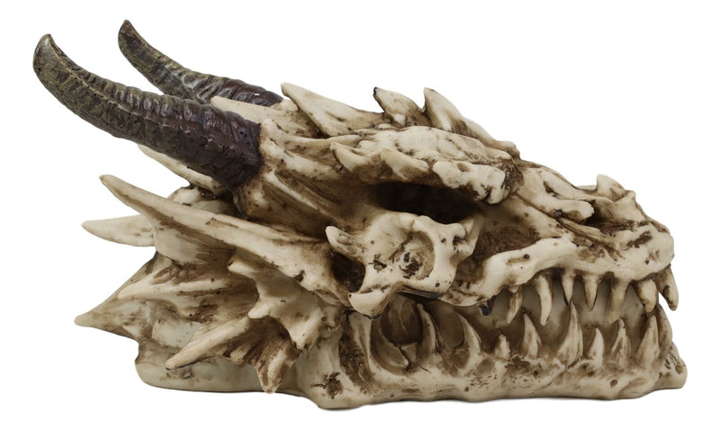 Ebros Smoking Nostrils and Eyes Skeleton Dragon Skull Incense Stick Burner Box