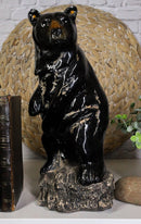 Rustic Western Woodlands Forest Black Bear Standing On Rock Figurine Decor