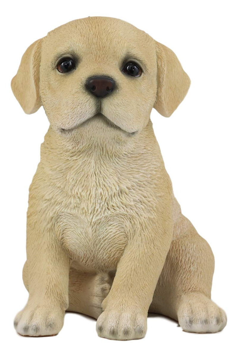 Ebros Realistic Sitting Adorable Labrador Puppy Statue 6.75" Tall Pet Pal