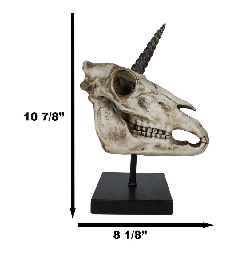 Rare Fossil Unicorn Skull With Sacred Horn Skull Figurine On Museum Pole Mount