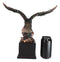 12" High Wings of Glory Heraldic Bald Eagle Landing On Rocks Statue With Base