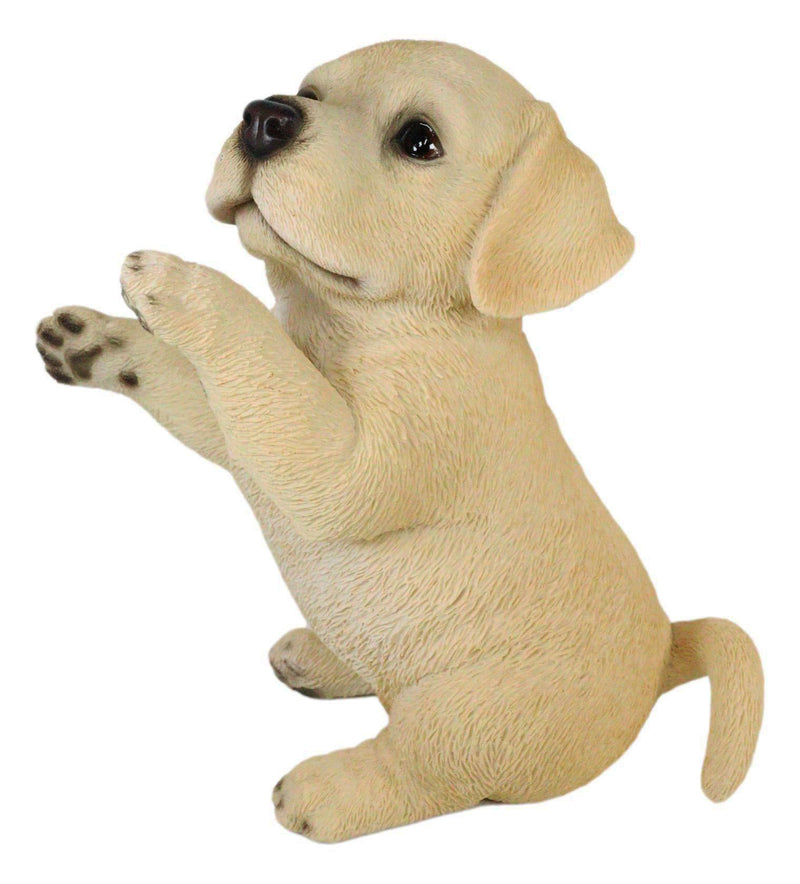 Ebros Begging Adorable Fawn Labrador Retriever Puppy Dog Pet Pal Pooch Figurine 6"H