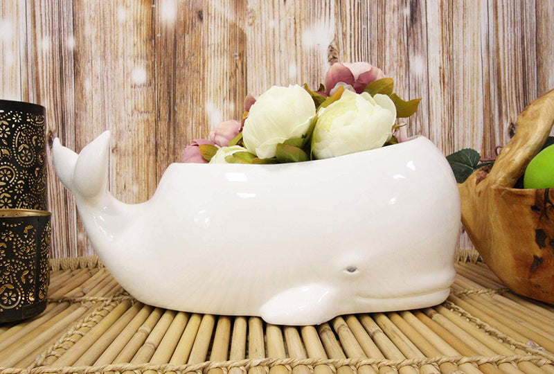 whale succulent pot Ebros Ceramic White Nautical Coastal Marine Cachalot Sperm Whale Plant– Ebros Gift