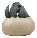 Large Nightfury Baby Dragon Hatchling In Egg Statue 10"Long Legends And Fantasy