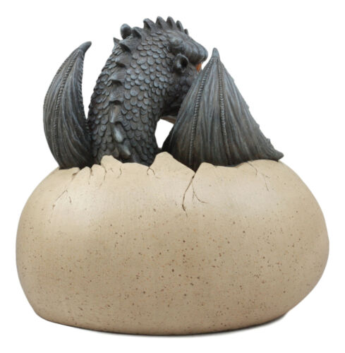 Large Nightfury Baby Dragon Hatchling In Egg Statue 10"Long Legends And Fantasy