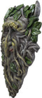 Ebros Celtic Somerset Summer Vines Greenman Hanging Wall Decor Plaque 10.5" High