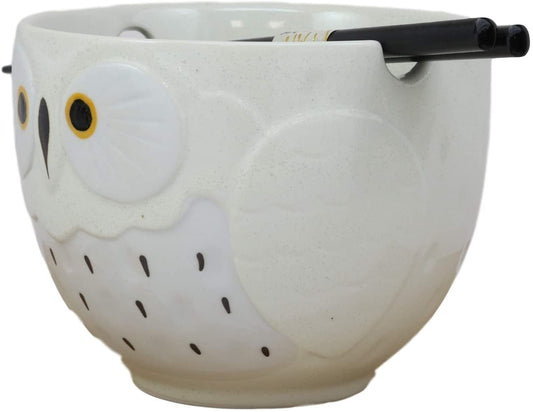 Ebros Whimsical Ceramic Colorful Owl Ramen Bowl and Chopsticks Set of 3