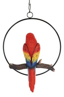 Ebros Hanging Scarlet Macaw Parrot Perching on Branch in Metal Round Ring Figurine 13.5" H