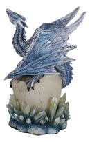 Luna Shylo Arctic Frost Dragon Emerging From Frozen Crystal Egg Hatchling Statue