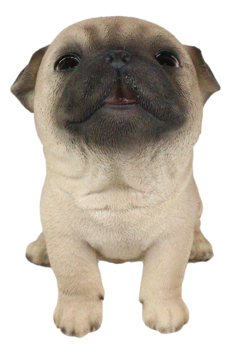Ebros Adorable Begging Face Fawn Pug Puppy Dog Figurine Pet Pal Pugsy