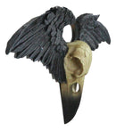 Ravenger Thanatos Raven Crow Skull With Black Angel Wings Wall Decor Plaque