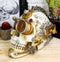 Ebros Large Steampunk Cyborg Cerebrum Skull Figurine W/ Secret Side Drawer Stash Box