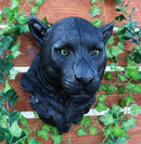 Ebros Large Black Panther Head Wall Decor Plaque 16"Tall Jaguar Wall Bust Plaque