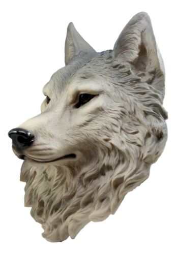 Large Gray Timber Wolf Head Wall Decor Plaque 16.5"Tall Taxidermy Art Decor