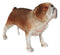 American Pedigree Dogs Lifelike Bulldog Bull Puppy Dog Miniature Figurine