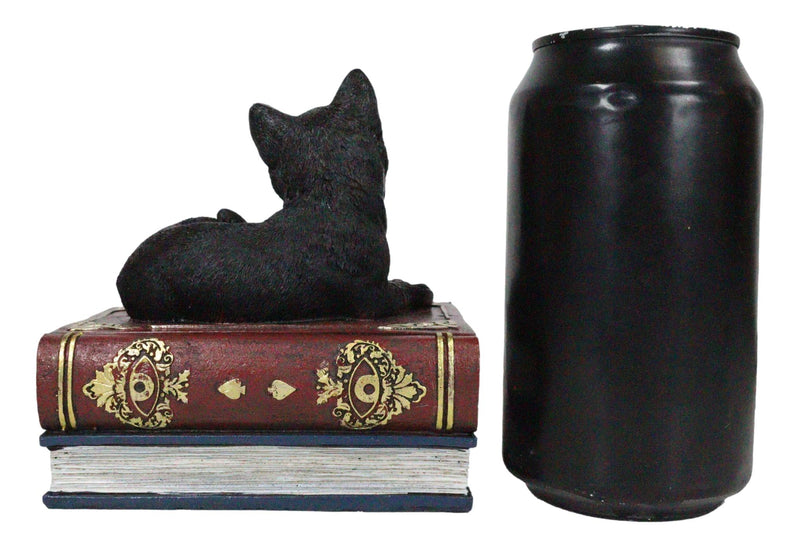 Wicca Mystical Black Cat Sitting On Book Of Spells Stack Decorative Jewelry Box