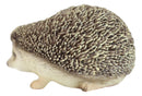 Lifelike Realistic Spinal Mammal Animal Baby Hedgehog Collectible Figurine 6"L
