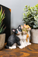 Ebros Lifelike Trio Shorthair Kittens Cats Sitting Side by Side Figurine 5" Long