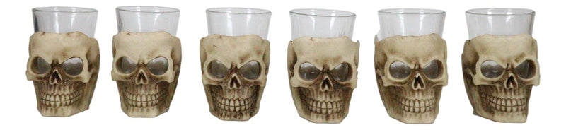 Ebros Grinning Skull Shot Glass Set of 6 Altar of Skulls Skeleton Ossuary Skull