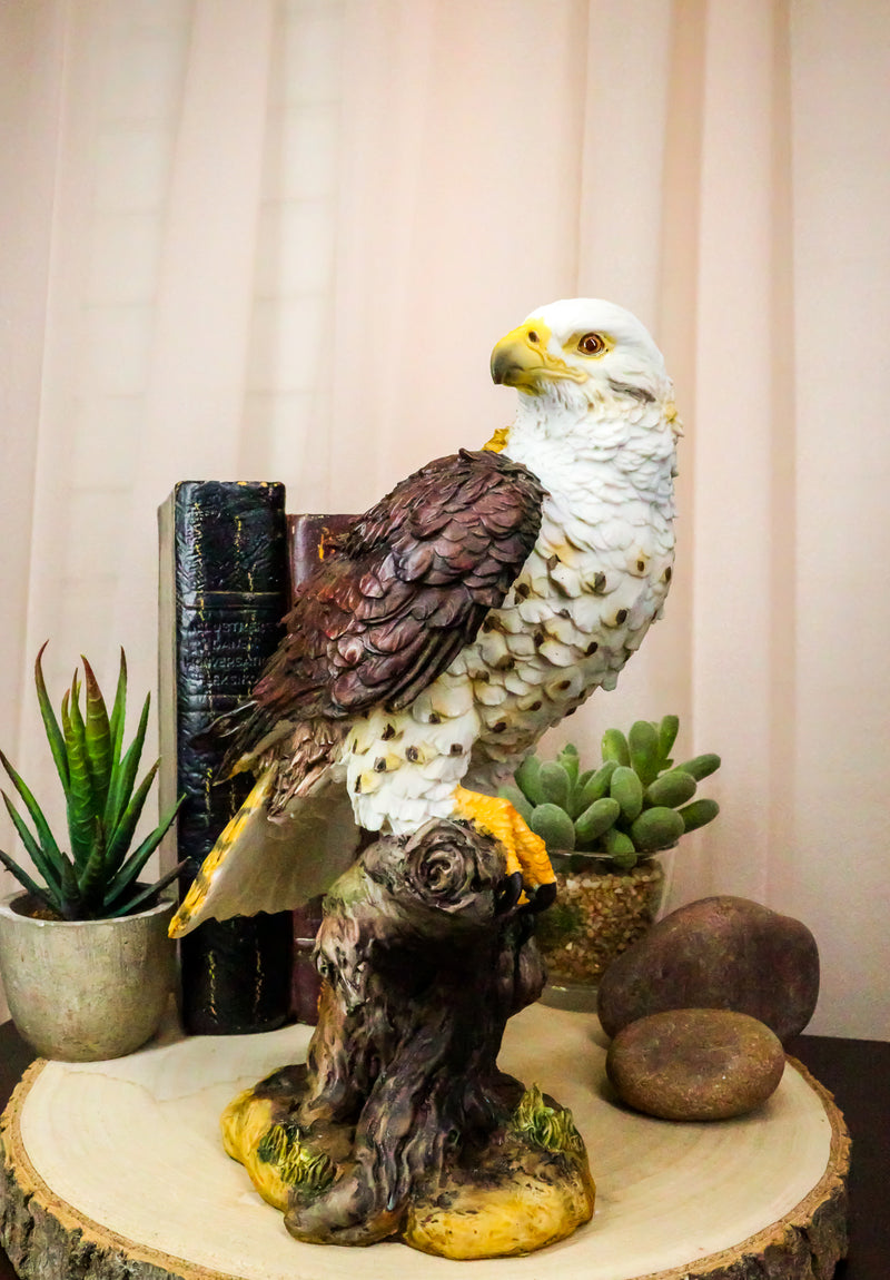 Ebros Wildlife Red Tailed Hawk On Tree Stump Statue Birds Of Prey Figurine 10"H