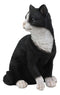 Ebros Lifelike Sitting Tuxedo Black and White Cat with Paw Up Statue 10.25" Tall Realistic Glass Eyes Hand Painted Feline Cats Kittens Kitties Animal Pet Sculpture Decor Figurine