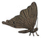 Ebros 7" Long Metamorphosis Flitting Butterfly Bronzed Decorative Garden Statue