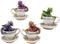 Ebros Metallic Baby Wyrmling Dragons in Tea Cups with Saucers Figurine Set 4.5"H