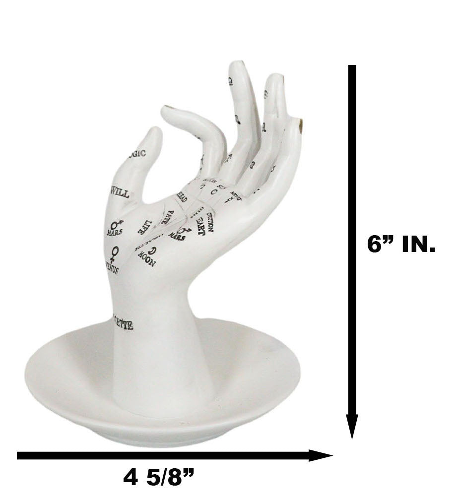 Psychic Fortune Teller Chirology Palmistry Hand Palm Jewelry Dish Rings Holder