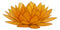 Tangerine Capiz Seashells Lotus Flower Votive Tea Light Candle Holder 8.5"D