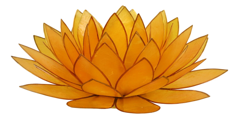 Tangerine Capiz Seashells Lotus Flower Votive Tea Light Candle Holder 8.5"D