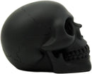 Ebros Pirate's Loot Graveyard Human Skull Statue 3.75"L (Midnight Ghost Black)