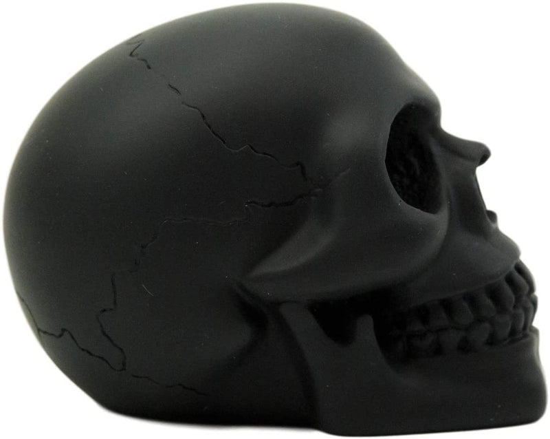 Ebros Pirate's Loot Graveyard Human Skull Statue 3.75"L (Midnight Ghost Black)