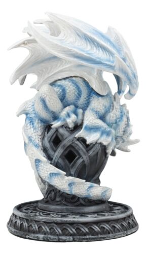 Ebros Celtic Tomb Guardian White Icycle Dragon Backflow Cone Incense Holder