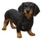 Ebros Large Lifelike Realistic Black and Tan Dachshund Dog Statue 19.5" Long