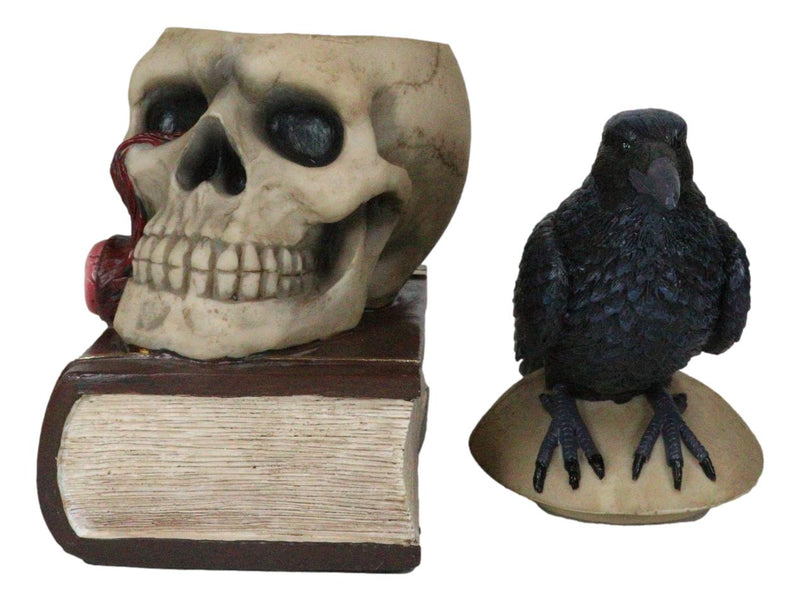 Gothic Crow Perching On Books And Skull With Plucked Eye Decorative Jewelry Box