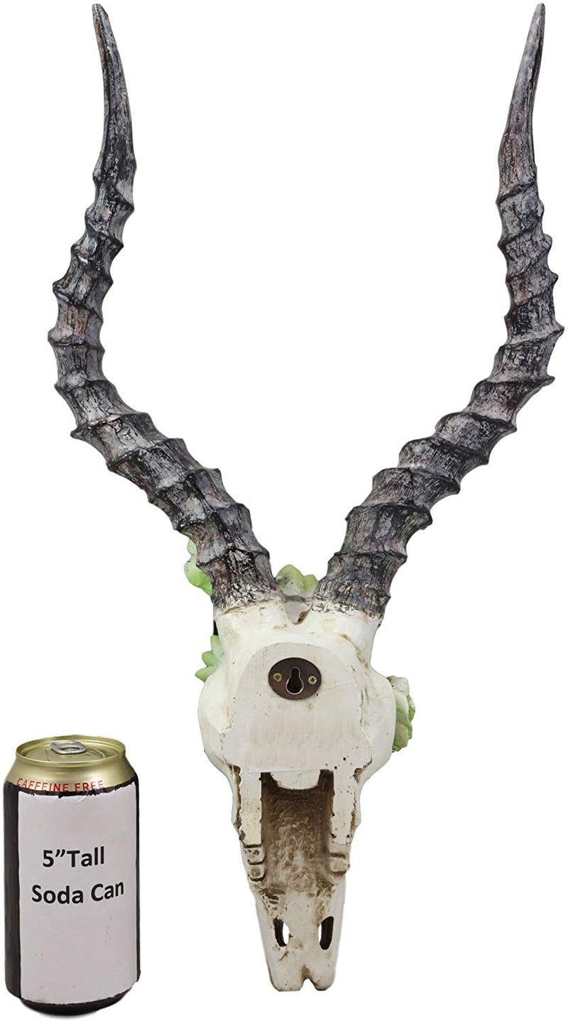 Ebros Western Aged Kudu Antelope Horned Skull Wall Decor With Painted Succulents