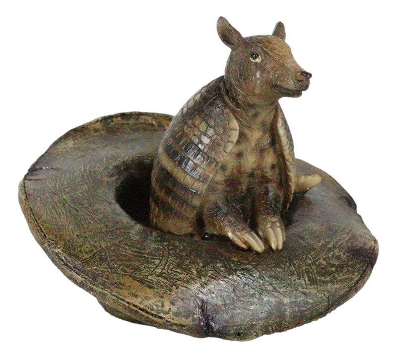 Western Rustic Texas Wild Armadillo Sitting in Cowboy Hat Decorative Figurine