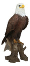 American Pride National Emblem Bald Eagle Statue 16.5"H Independence Day Glory