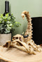 Ebros Gothic Giant Scorpion Skeleton with Horned Demon Skull Statue 7.25" Tall