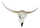 Rustic Western Texas White Longhorn Steer Cattle Cow Skull Wall Decor Plaque 20"