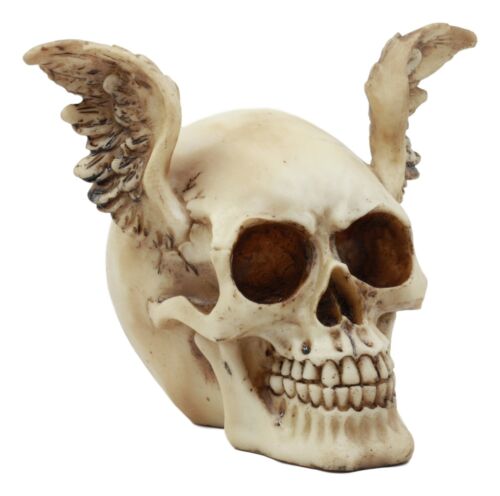 Ebros Day Of The Dead Guardian Angel Winged Skull Statue Time Waits For No Man Figure
