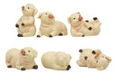 Whimsical Farm Baby Porky Pig Piggies Set of 6 Figurines 3"H Small Statues Decor