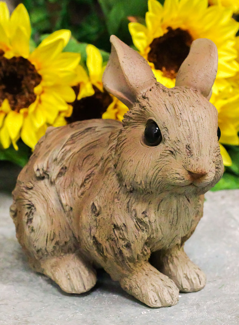 Ebros Crouching Bunny Rabbit Resin Statue 5.5"H Faux Driftwood Finish Figurine