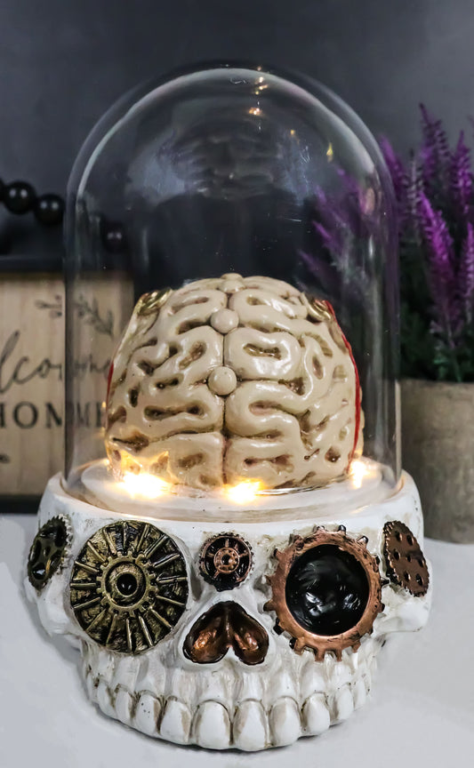 Steampunk Apothecary Gearwork Skull With Brains In LED Light Cloche Glass Dome