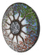 Four Seasons Dendritic Tree Wheel of Life with Pentagram Star Wall Decor Plaque