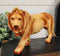 Safari Jungle Grasslands Prowling Lion King Faux Wood Cutout Resin Figurine 6"L