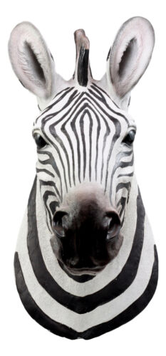 Madagascar Large Zebra Head Wall Decor Plaque 16"Tall Taxidermy Decor Sculpture