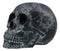 Ebros Black Astrology Paranormal Ouija Spirit Skull Statue 8.5"L Supernatural
