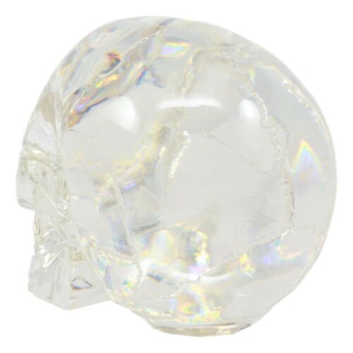 Ebros Clear Translucent Witching Hour Gazing Skull Statue 5.5"L Made Of Acrylic